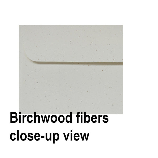 Birchwood - 120x120mm (SQUARE) - Recycled Off-white.