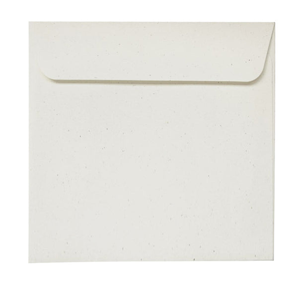 Birchwood - 180x180mm (SQUARE) - Recycled Off-White