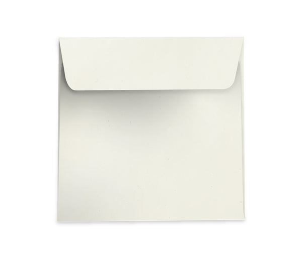 Barley - 120x120mm (SQUARE) - Recycled Off-white.