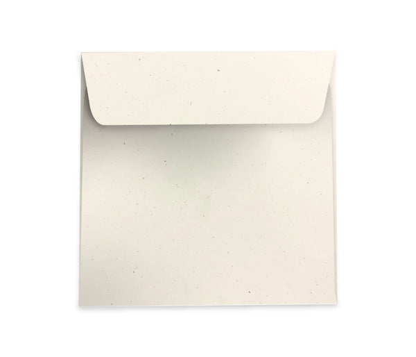 Birchwood - 120x120mm (SQUARE) - Recycled Off-white.