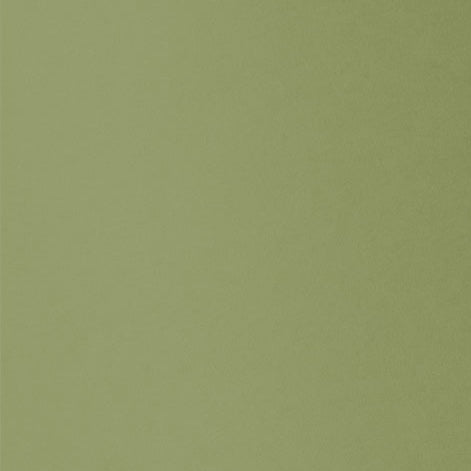 Mid Green - 114x225mm (DLE)