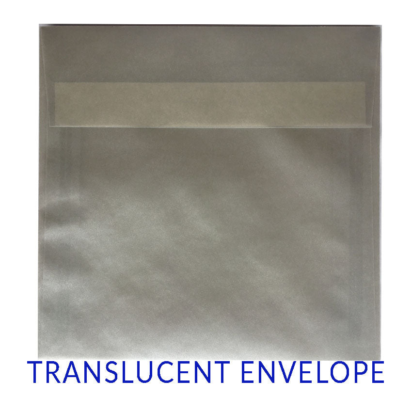 Translucent Silver - (170x170mm SQUARE) - Envelope World
