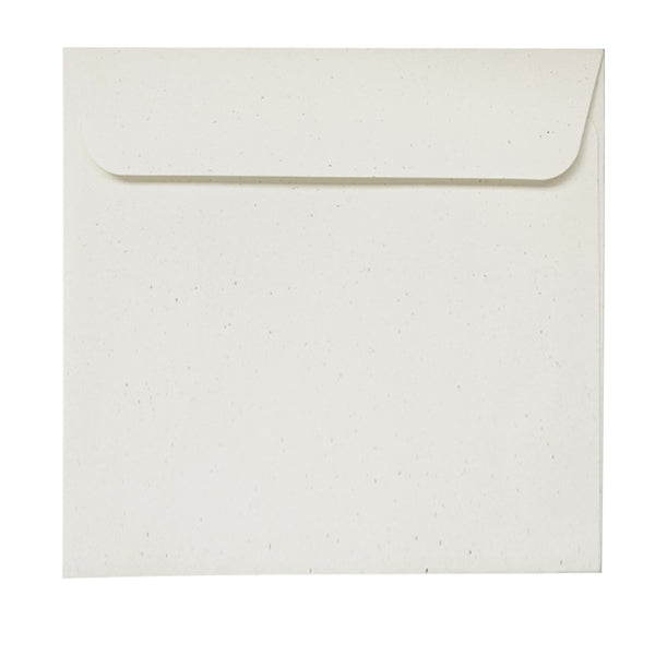Birchwood - 160x160mm (SQUARE) - Recycled Off-White
