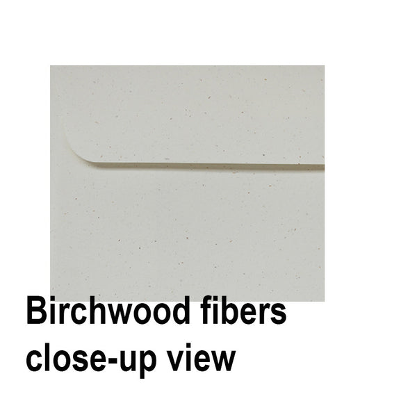 Birchwood - 150x150mm (SQUARE) - Recycled Off-White