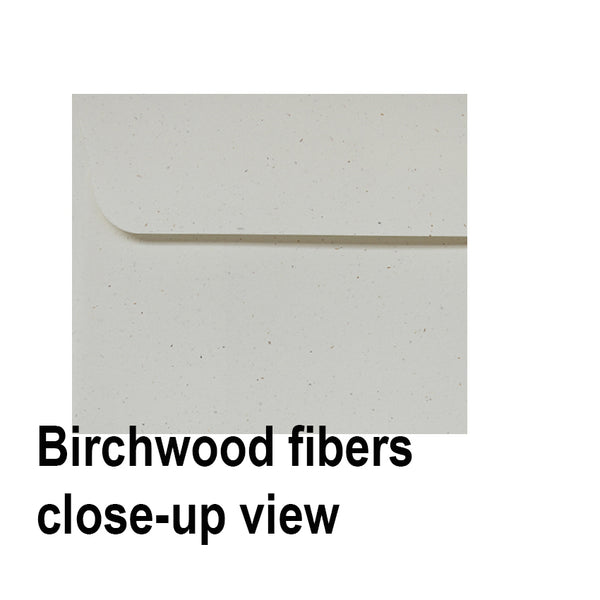 Birchwood - 135x185mm (USA A7) - Recycled Off-white