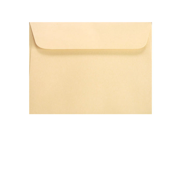 small ivory cream coloured wallet envelope