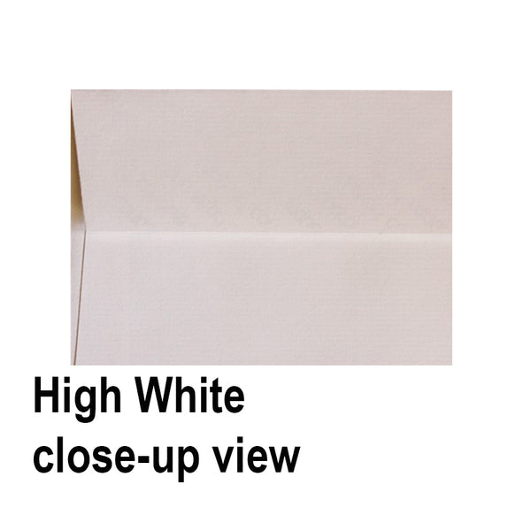 High White Laid - 110x220mm (DL) Textured